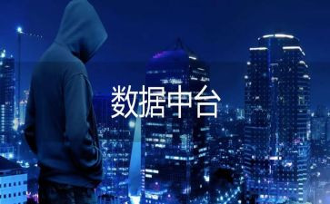 数据工作的个人总结7篇