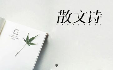 作文抒情600字6篇