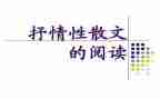 我的抒情作文7篇