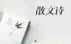 作文抒情600字6篇