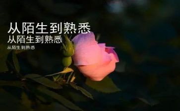 我熟悉的人作文精选5篇