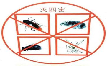 社区四害工作计划7篇