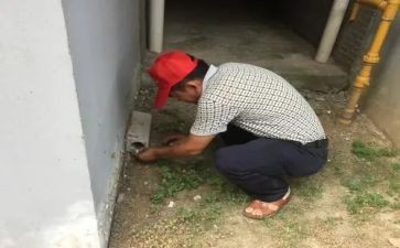 灭四害工作计划6篇