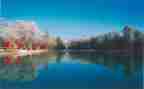 写四季作文通用5篇
