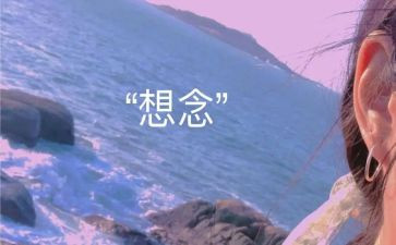我思念作文5篇