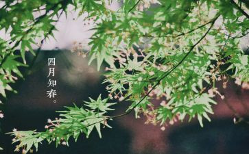 教师四月总结8篇