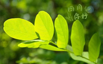 小班四月工作总结5篇