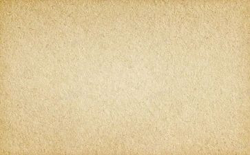 爱国作文素材800字8篇