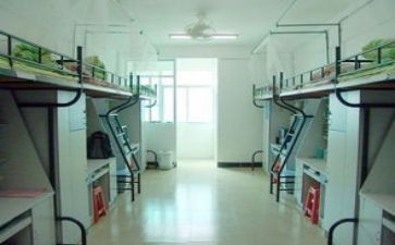 管理学生宿舍的工作总结5篇