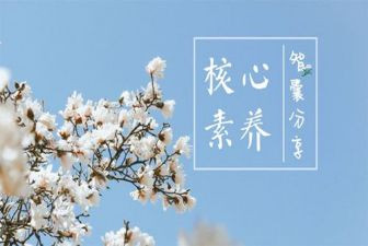 读教师素养的心得体会6篇