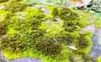 诗词苔读后感6篇