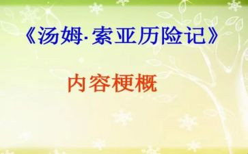 汤姆索亚历险记里的读后感8篇