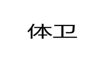 学校艺体卫工作总结5篇