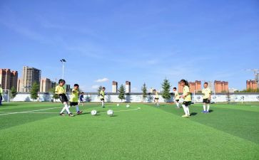 学校体卫工作总结6篇