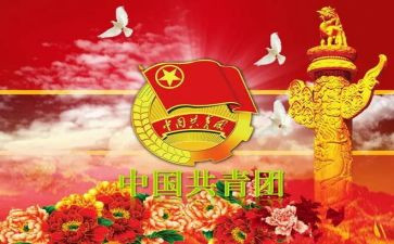 团干部年度个人总结7篇