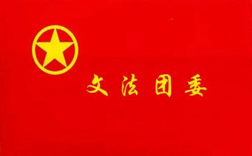 院团委工作总结7篇