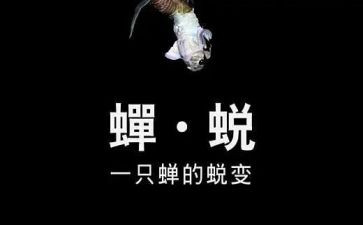警示教育观看蜕变心得体会6篇
