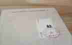 蛙读后感初中600字优秀8篇