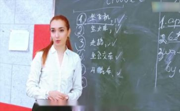 对外教学心得体会8篇