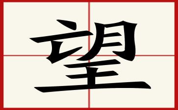 天堂的张望观后感8篇