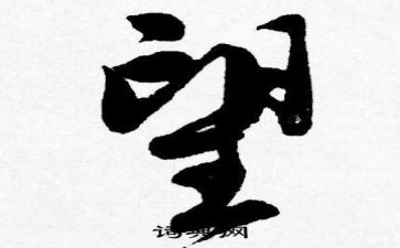 我的愿望小作文300字推荐6篇