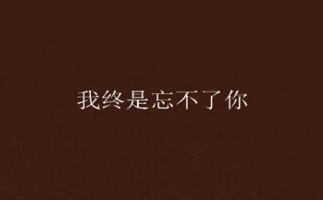 我忘不了你作文6篇