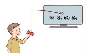 2024网购情况调查报告6篇