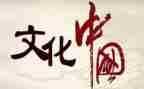 开展文化活动总结7篇