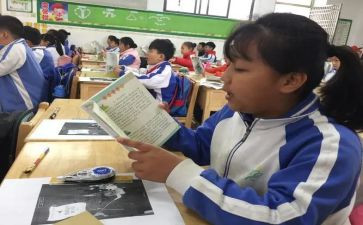 听小学语文课听课心得5篇