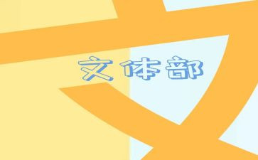 村文体工作个人总结8篇