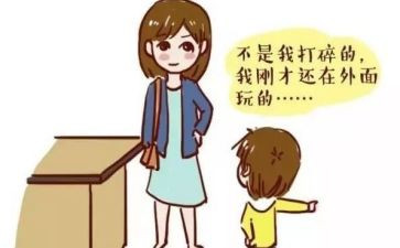 是我的错作文800字通用5篇