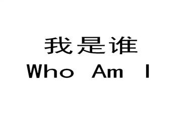 我是谁作文300字参考6篇
