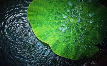 我在变作文500字优质6篇