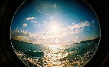我在变作文800字初中作文6篇