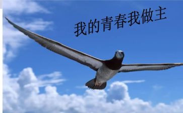 青春,我做主作文推荐5篇