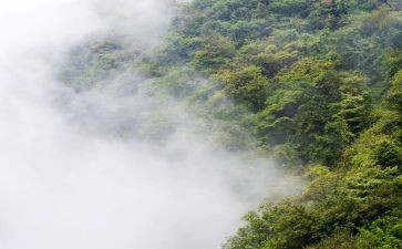 《雾都孤儿》读后感200字5篇