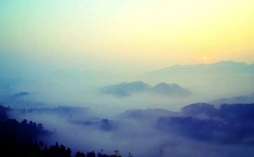 《雾都孤儿》读后感200字8篇