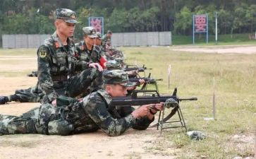 2023武警半年个人总结6篇