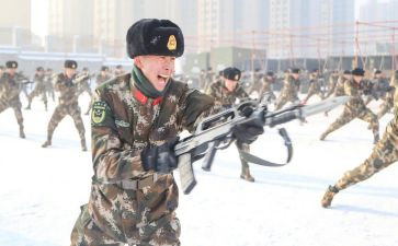 武警部队的个人总结7篇