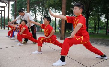 区武术协会工作计划6篇