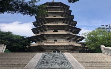 《乌塔》教案7篇