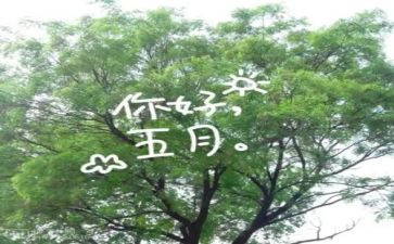 五月的心得7篇