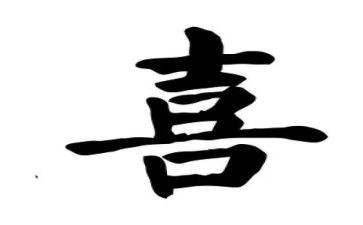 我喜欢的小动物是猫的作文6篇