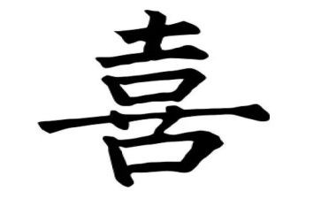 我最喜欢的猫作文精选8篇