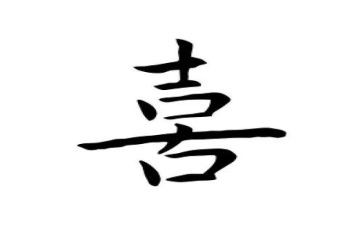 我喜欢的小动物是猫的作文优质7篇