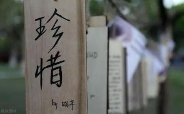 已珍惜为题的演讲稿7篇