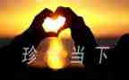 以惜为话题演讲稿通用7篇