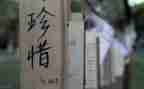 已珍惜为题的演讲稿7篇