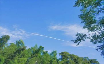 夏天的活动中班教案8篇