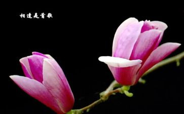 相逢作文通用8篇